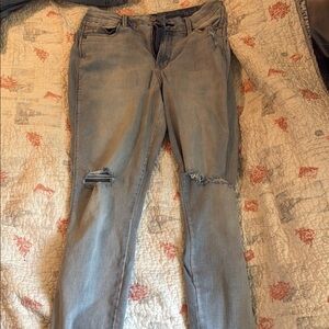 Arizona Jean Company Blue Skinny Jeans Distressed